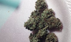 User uploaded image of Sour Candy