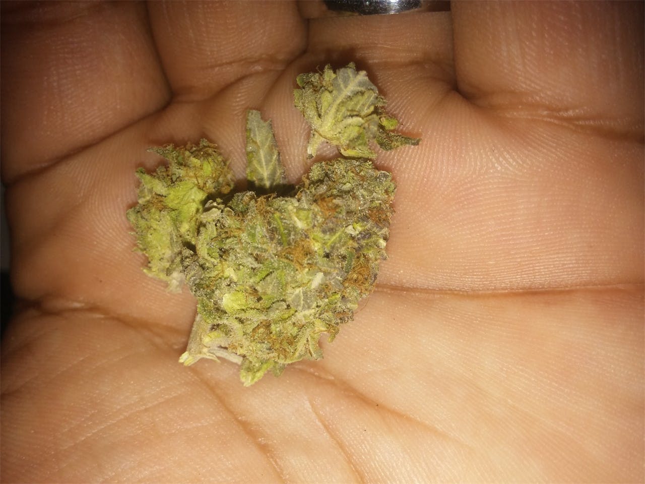 Photos of Sour Candy Weed Strain Buds Leafly