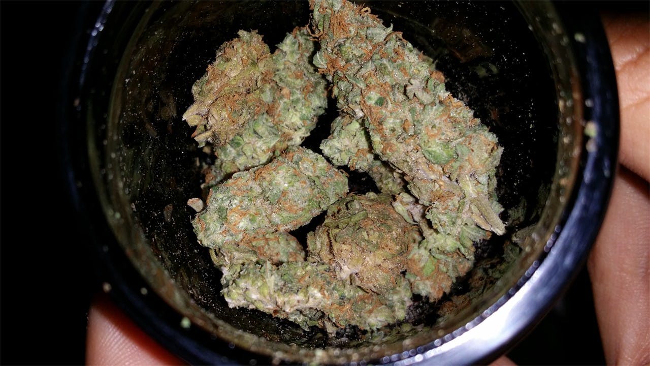 Photos of Sour Candy Weed Strain Buds Leafly