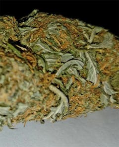 User uploaded image of Sour Cheese