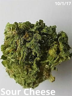 User uploaded image of Sour Cheese