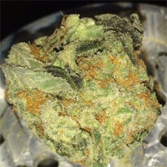 User uploaded image of Sour Cheese