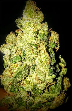 User uploaded image of Sour Cheese