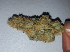 User uploaded image of Sour Cheese