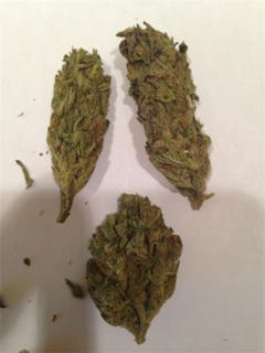 User uploaded image of Sour Chocolate