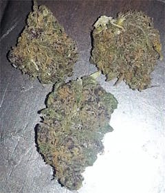 User uploaded image of Sour Chunk