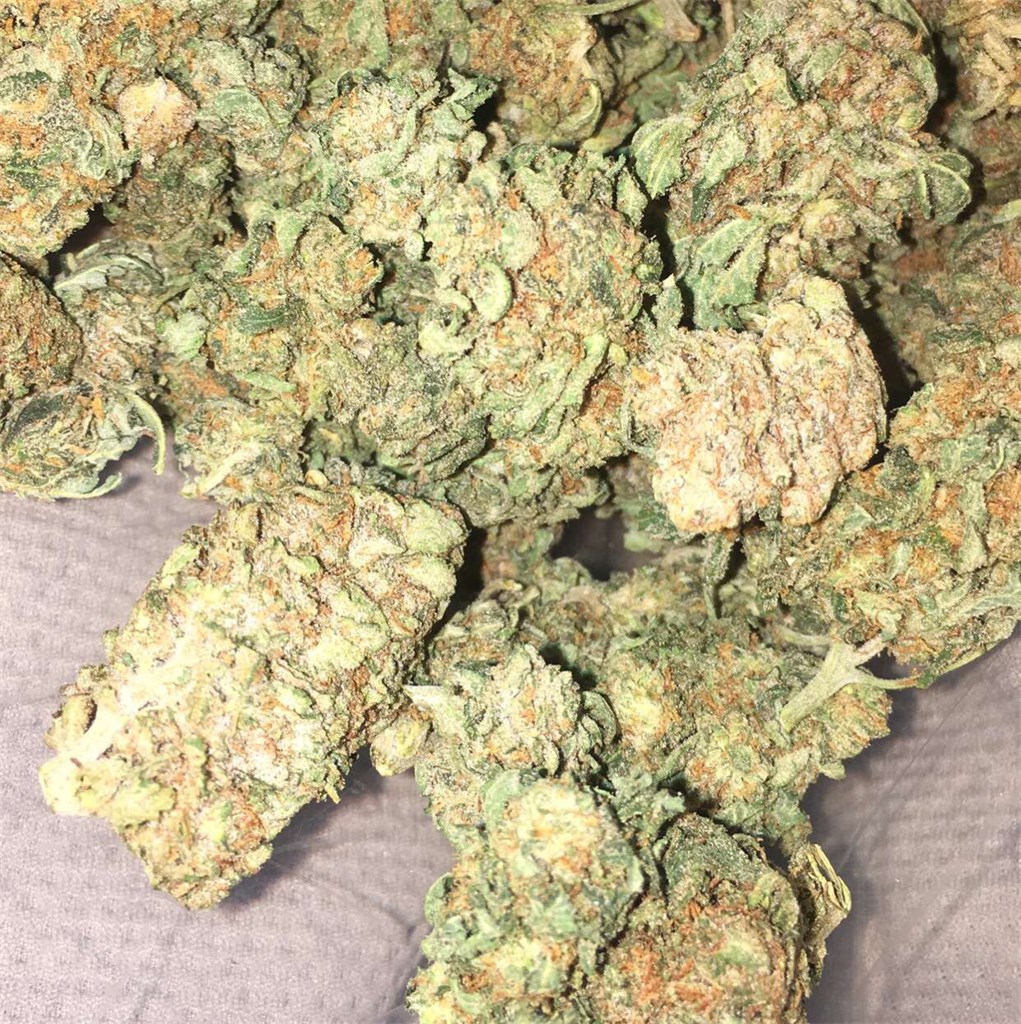 Sour Cookies Weed Strain Information | legalised kushed
