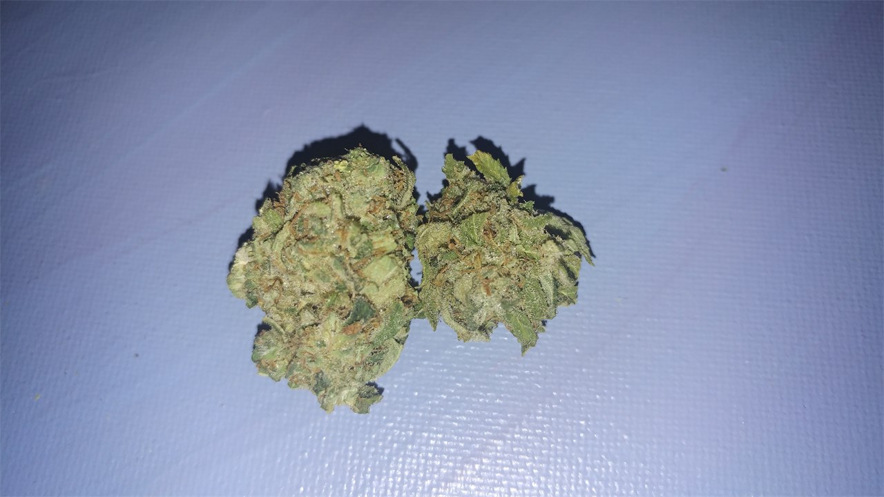 Sour Cookies Weed Strain Information Leafly