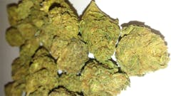 User uploaded image of Sour Cookies
