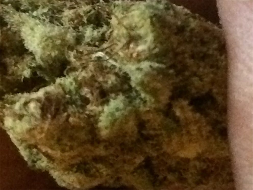 Photos of Sour Cream Weed Strain Buds Leafly