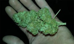 User uploaded image of Sour Cream