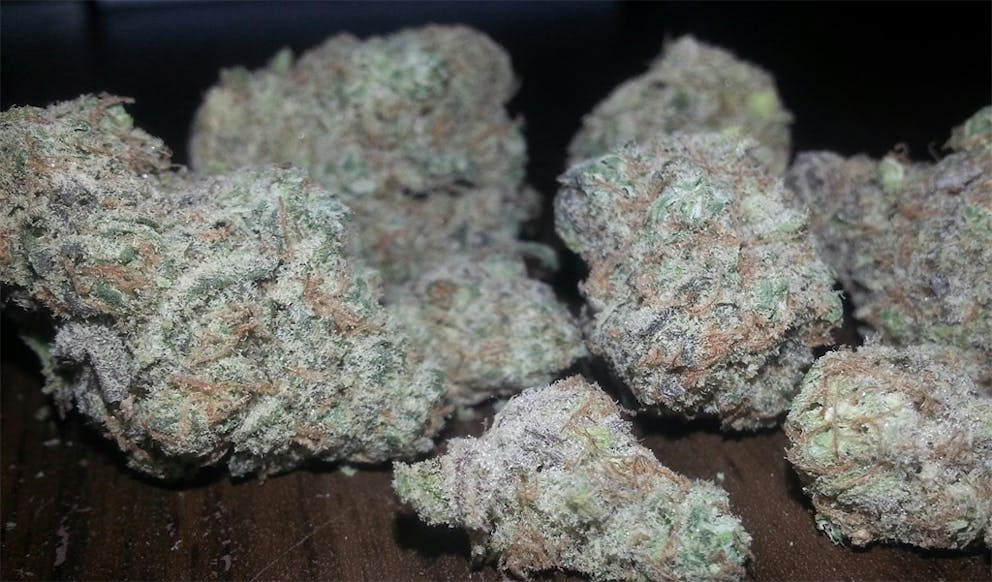 Photos of Sour Cream Weed Strain Buds Leafly