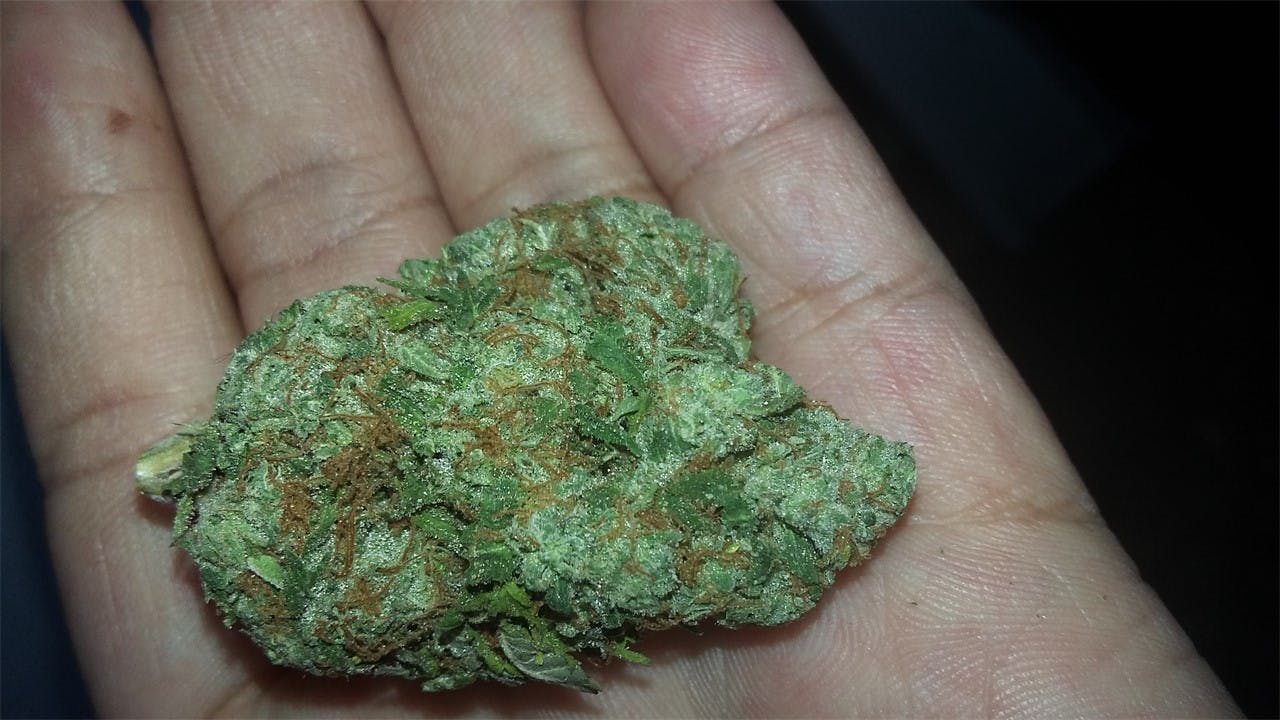 Sour Cream Weed Strain Information Leafly