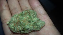 User uploaded image of Sour Cream