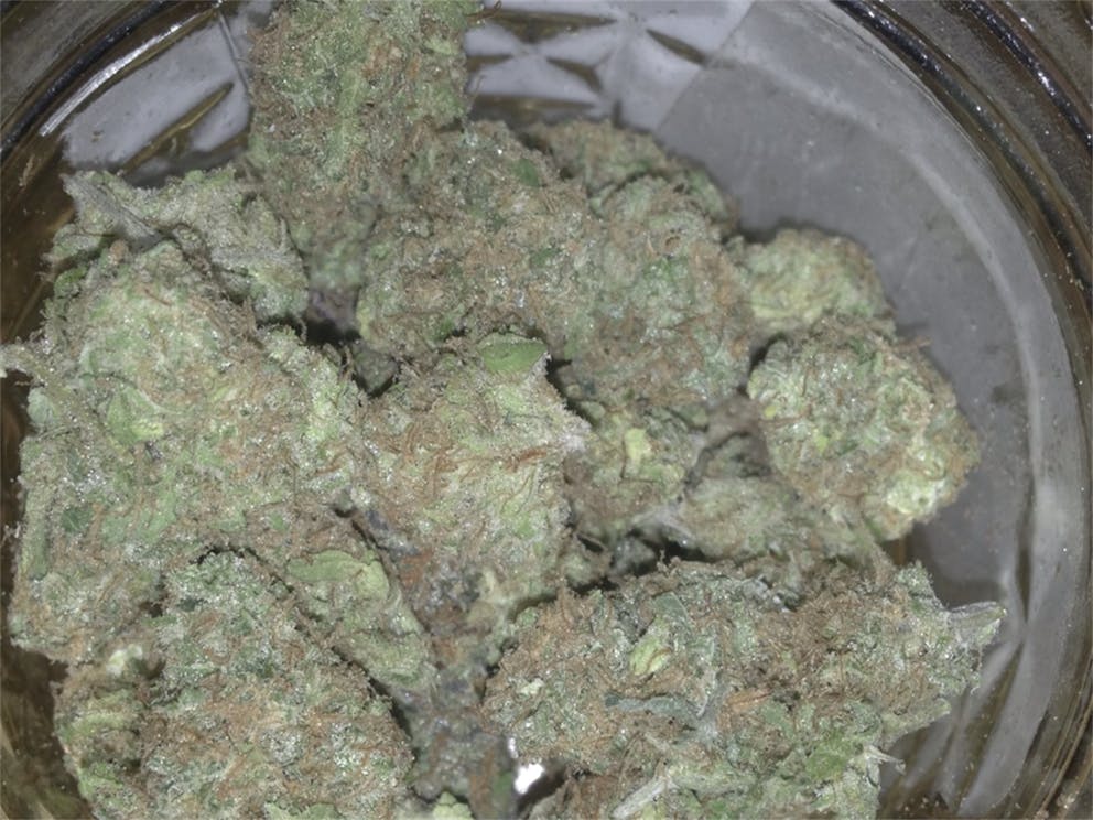 Photos of Sour Cream Weed Strain Buds Leafly