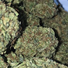 User uploaded image of Sour Diesel
