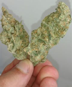 User uploaded image of Sour Dream