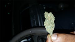 User uploaded image of Sour Dream
