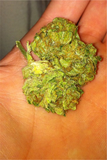 Sour Flower Marijuana Strain Information