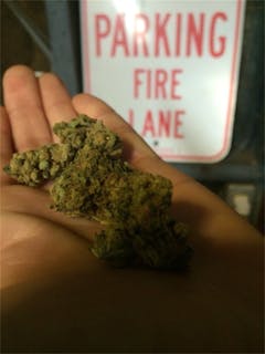 User uploaded image of Sour Flower