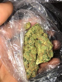 User uploaded image of Sour Flower