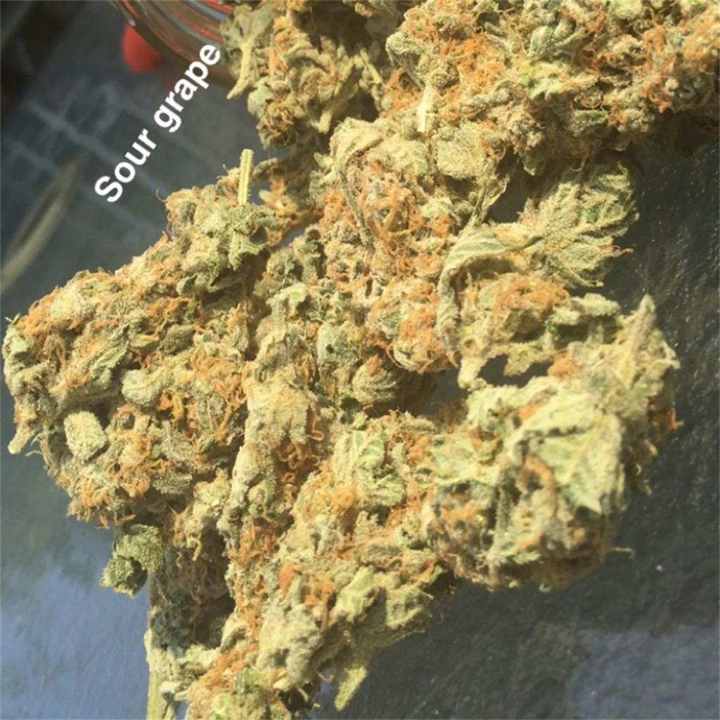 Sour Grape Weed Strain Information Leafly