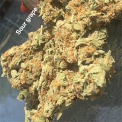 User uploaded image of Sour Grape
