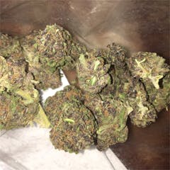 User uploaded image of Sour Grape
