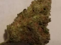 User uploaded image of Sour Grape