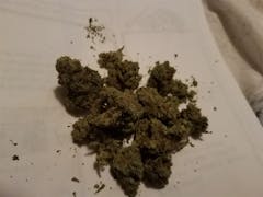 User uploaded image of Sour Grape