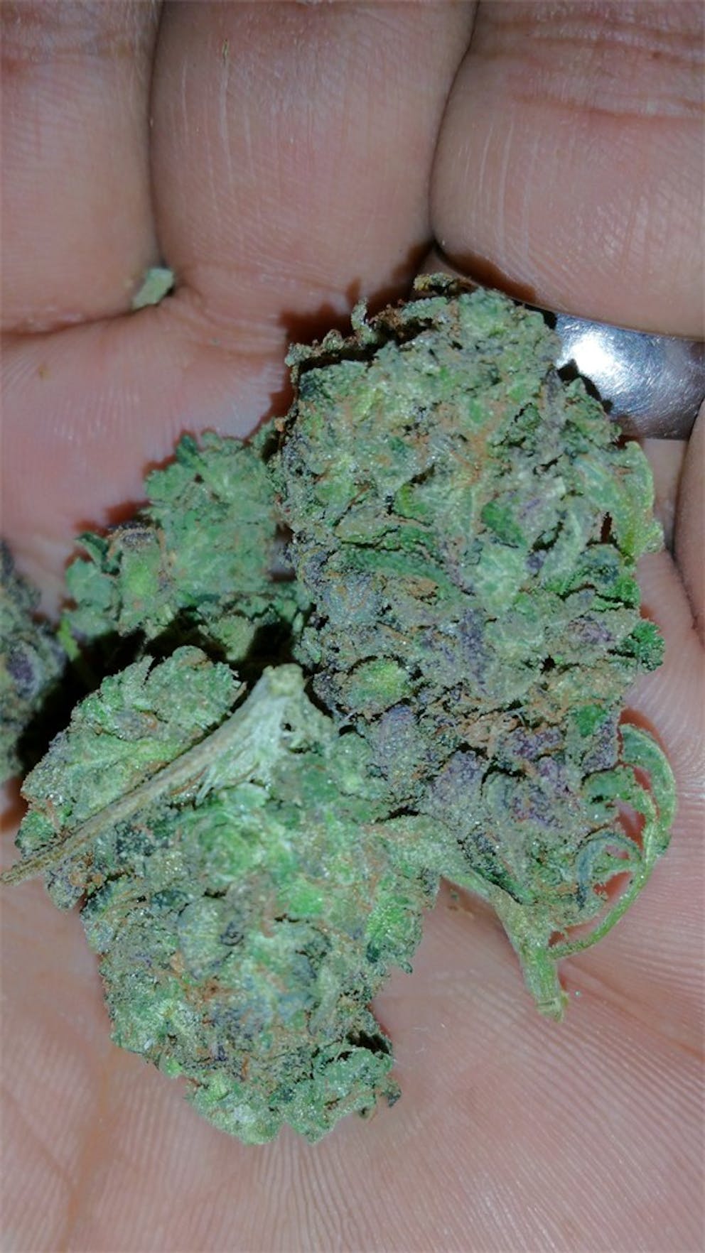 Photos of Sour Grape Weed Strain Buds Leafly