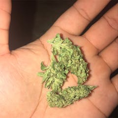 User uploaded image of Sour Jack