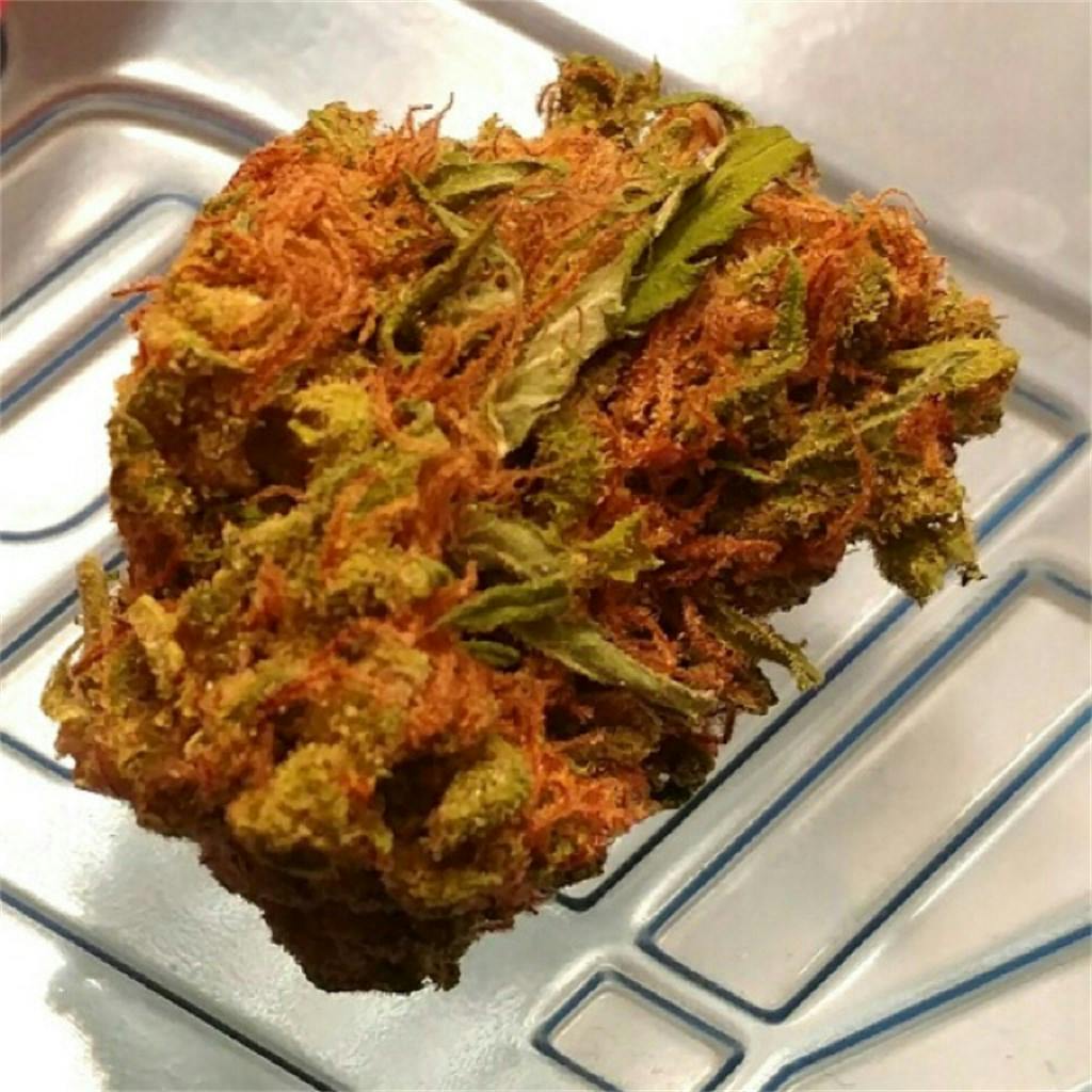 Sour Jack Weed Strain Information Leafly