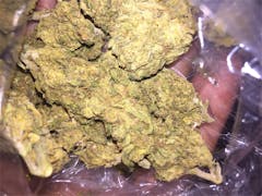 User uploaded image of Sour Jack