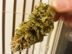 User uploaded image of Sour Jilly