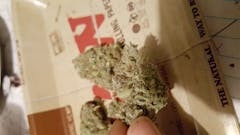 User uploaded image of Sour Joker