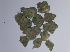 User uploaded image of Sour Joker