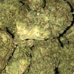 User uploaded image of Sour Kush