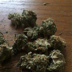 User uploaded image of Sour Kush
