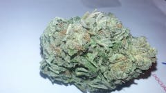 User uploaded image of Sour Lemon