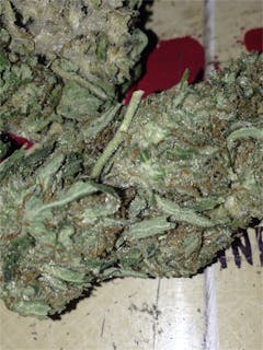 User uploaded image of Sour Lemon