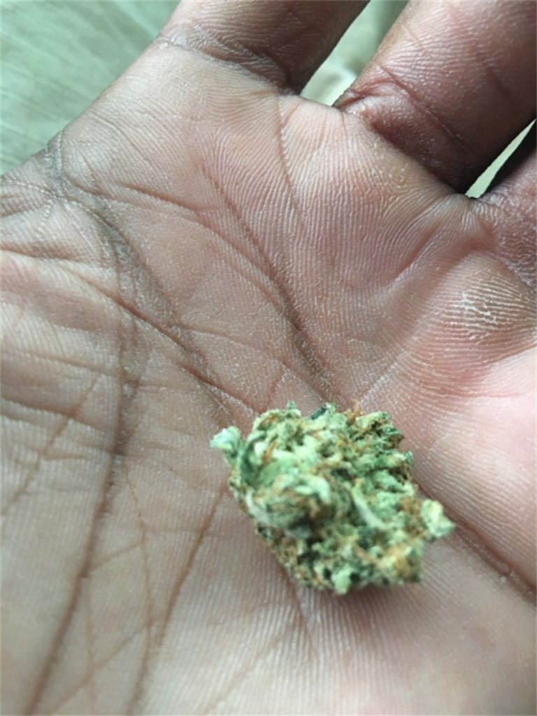 Sour Lemon aka Sour Lemon OG, OG Sour Lemon Weed Strain Information