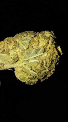 User uploaded image of Sour Lemon