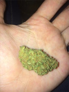 User uploaded image of Sour LSD