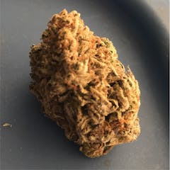 User uploaded image of Sour OG