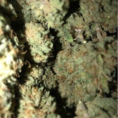 User uploaded image of Sour Patch Kiss