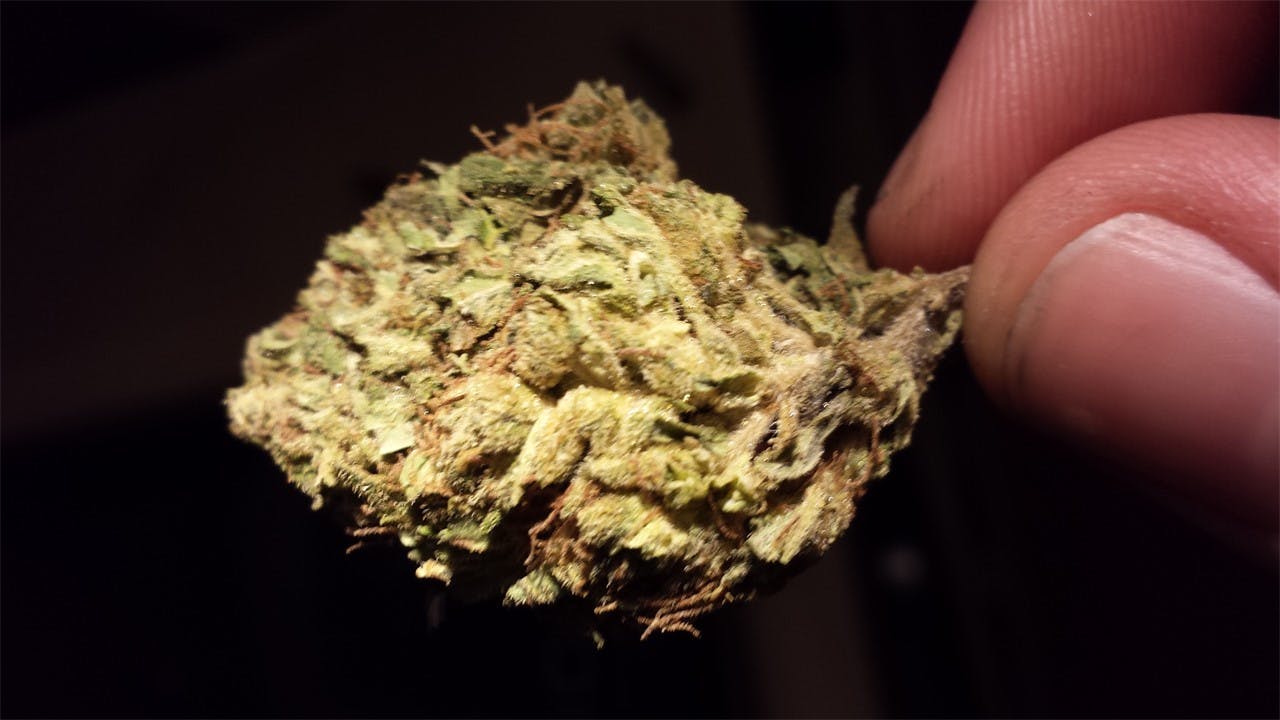 Sour Pebbles Weed Strain Information Leafly