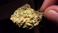 User uploaded image of Sour Pebbles