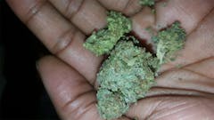 User uploaded image of Sour Pebbles