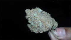 User uploaded image of Sour Poison